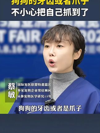 被猫狗抓伤什么情况下需要打疫苗呢? #猫猫#狗狗#科学养宠攻略#狂犬病#猫