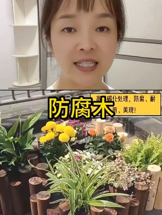 防腐木栅栏花园围栏花圃户外庭院篱笆室外护栏室内阳台装饰小木桩