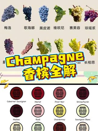 喝了这么久的香槟,你对它了解多少呢?#粉丝群福利 #葡萄酒知识 #香槟产区 #香槟杯 #香槟酒