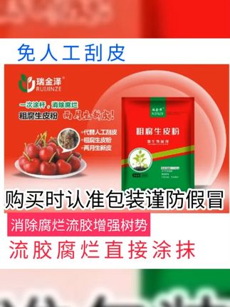 粗腐生皮粉专业治疗果树苗木腐烂病流胶病粗皮病溃疡病 #果树流胶病的防治 #腐烂病 #果树流胶腐烂 #桃树 #樱桃树