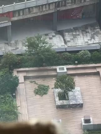 家里不常用的小电器用这个防尘罩,就不用担心会落灰了,出去玩住 家里不常用的小电器用这个防尘罩,就不用担心会落灰了,出去玩住酒店还能当枕套用#电器防尘罩 #防尘罩 #风扇罩防尘罩