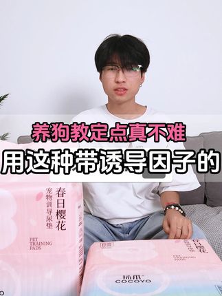 教定点不愁,就选这种带诱导因子的训导尿垫~#樱花尿垫#Cocoyo尿垫#萌宠好物#狗狗#新手养狗