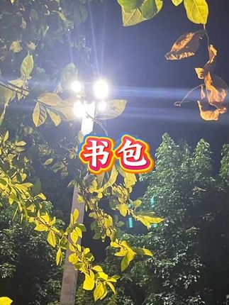 LI-NING/李宁李宁初中高中书包爆款书包2025书包学生专用12-18岁#李宁书包  #学生书包  #大学生双肩包 #初高中双肩包 #双肩包