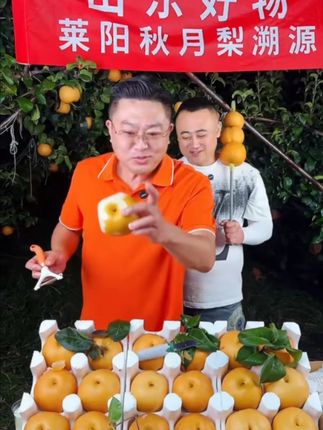 纯正莱阳秋月梨 一口爆汁甜过蜜#秋月梨#脆甜多汁#产地直发 @光杆宫司令 #秋月梨 #脆甜多汁 #产地直发