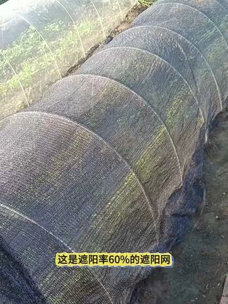 抗老化黑色遮阳网加密加厚网农用蔬菜大棚耐高温隔热遮光#抗老化黑色遮阳网 #遮阳网 #加密加厚网 #农用蔬菜大棚 #耐高温隔热遮光