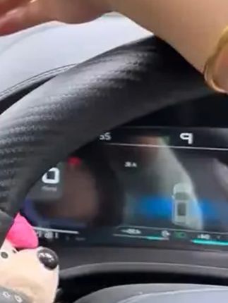 比亚迪宋PLUS/LDMi/EV/pro唐汉驱逐舰元海豹手机