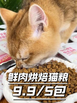 这猫粮直接给我家猫吃成大肥猪了,而且价格还嘎嘎划算@妙汪天下宠物用品旗舰店 #猫咪#萌宠好物#新手养猫#猫粮#妙汪天下猫粮