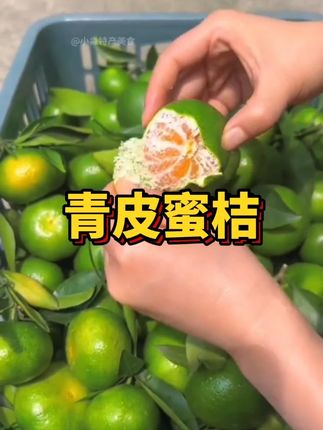 馋了一年的高山无籽青皮蜜橘终于上市了!皮很薄!果肉细腻无渣,汁水特别多!酸甜可口!一口爆汁!真的巨好吃!#蜜橘  #青皮蜜橘  #橘子  #新鲜应季水果  #优质农产品