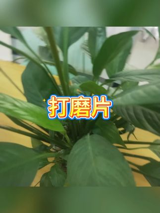 岩板平磨切割片 #陶瓷修边 #45倒角 #角磨机神器
