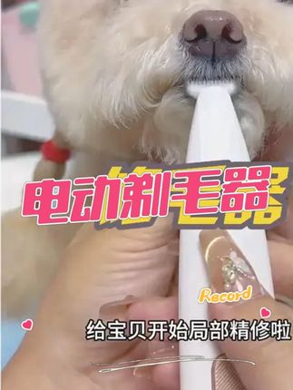 倍爱宠物猫咪狗狗剃脚毛眼角脚底神器脚掌推子剃眼围干净嘴部局部#狗狗电动剃毛器 #修毛器 #猫咪脚毛剃毛器 #修毛神器 #萌宠好物
