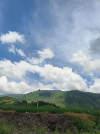 新款720单层纯手工防爆玻璃杯办公厅专用泡茶杯大容量茶水分离杯