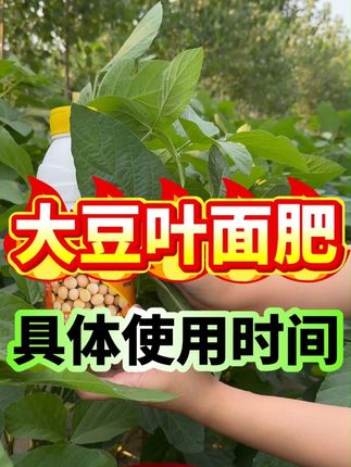 大豆叶面肥,具体使用时间#大豆种植 #大豆管理 #大豆粒粒饱 #大豆高产 #大豆增产
