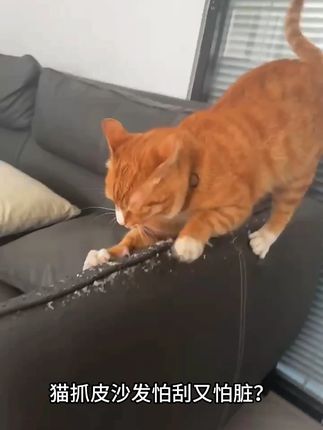 🛋️猫爪皮/牛皮/磨砂布清洁神器👍免洗去污 #沙发清洁剂 #清洁神器 #猫爪皮沙发 #好物推荐🔥 #污渍轻松去除