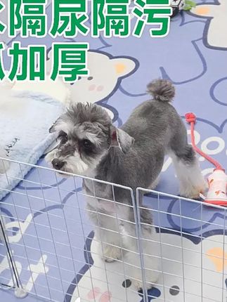 宠物地垫防水防尿防滑pvc可擦洗狗笼围栏免洗易打理狗狗垫子耐用 #宠物地垫 #防水隔污垫 #养宠必备 #木森大舞台 #木森