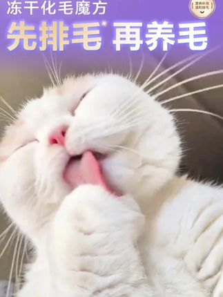 警惕!猫主子舔毛停不下来,毛球症可能让它吃啥吐啥 #卫仕化毛魔方 #猫咪呕吐 #毛球症 #猫咪日常 #吐毛球