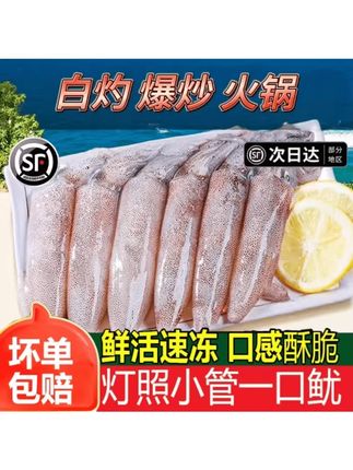 小管鱿鱼白灼鱿鱼新鲜冷冻大鱿鱼大笔管鱼小乌贼海鲜水产鲜活生鲜#小管鱿鱼 #小管鱿鱼白灼 #新鲜鱿鱼 #大笔管鱼