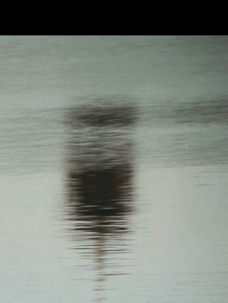 水 #眼睛会说话