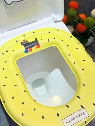 冬天上厕所怕冰屁股的姐妹们 #卫生间好物 #超便宜超划算