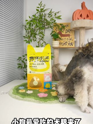 疯狂小狗 这样的犬粮你不来上一单嘛#疯狂小狗 #犬粮 #疯狂小狗犬粮 #抖音推荐