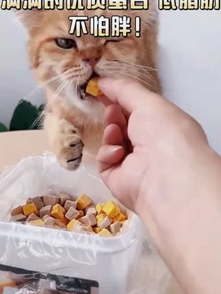 冻干鸡肉粒猫零食营养美味500g宠物全家桶鸡胸肉无添加猫粮健 #冻干猫粮 #冻干鸡肉粒 #宠物猫粮