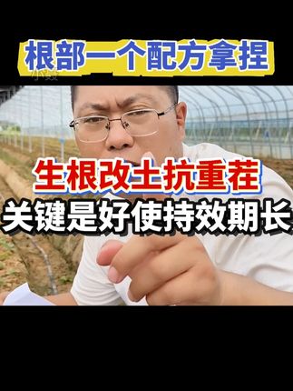 正品根腐抑制剂,黑根烂根试试这个配方-好使#草莓种植 #根腐