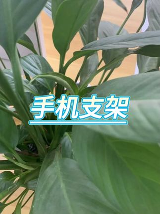 电动车手机架减震导航支架 #摩托车支架 #自行车导航 #专用支架