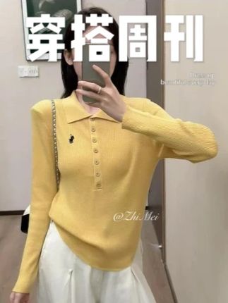 2025早秋新款高级轻奢小马刺绣排扣翻领老钱风洋气显瘦针织衫上衣#ootd穿搭 #显瘦遮肉 #穿出高级感 #今天穿什么 #品质女装