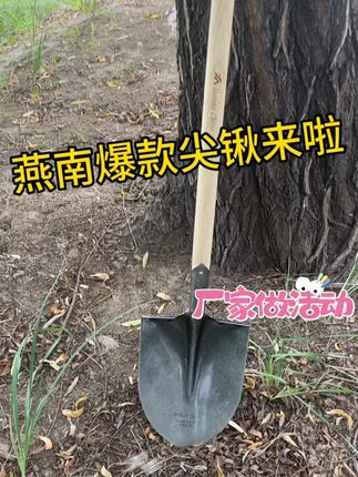 #尖锹 #五金批发 #农工具 #铁锨 燕南爆款领航者007系列尖锹,回购率最高的尖锹,喜欢的老铁赶快带走吧!