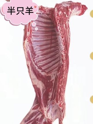 【内蒙古碱滩羊】半只羊羔羊羊肉半羊草原现切 #羊肉 #草原美食 #半只羊羊 #新鲜食材 #生鲜肉类