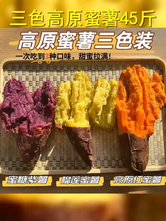 三色高原蜜薯组合榴莲蜜薯蜜糖紫薯高原红蜜薯红薯地瓜番薯4.5斤 #烤红薯 #太好吃了 #烤蜜薯 #红薯 #蜜薯