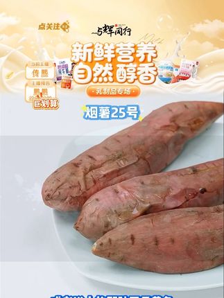 正宗烟薯25号2025年新鲜现挖红薯糖心蜜薯流油超甜蒸煮红薯 #烟薯 #烤红薯 #烟薯25号 #烤地瓜 #好物推荐 @DOU+小助手 @DOU+上热门