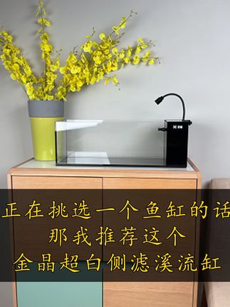 如果你正在挑选一个养鱼的鱼缸的话,那我推荐这个 #鱼缸 #溪流缸 #原生溪流缸 #金晶超白缸 #树净