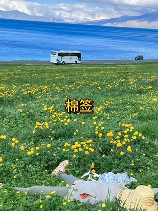 6块9到手2大盒棉签,真的是太合适了!#超便宜超划算  #棉签  #双头桶装竹杆棉签棉棒  #平价好物  #厂家直发品质保证