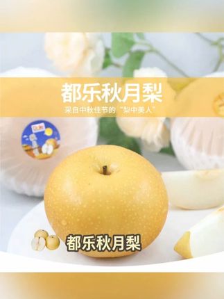 都乐Dole羊脂秋月梨 #秋梨 #秋月梨 秋月梨3.2斤起简装/礼盒装 约4-9只香甜多汁细腻