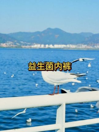 益生菌100A女士内裤,夏季穿不止穿了舒服透气还很呵护#夏季女士内裤 #透气亲肤柔软耐穿 #抗菌女士内裤 #在抖音入手的好东西 #无限回购的宝藏单品