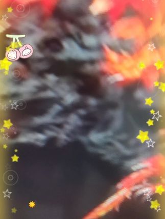 栗子秋日 百搭基础开衫背心半裙三件套#9301