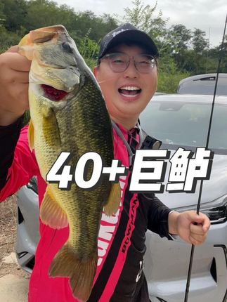 阿诺+精灵斩获40+大口鲈 #路亚 #钓鱼 #水滴轮 #鲈钓 #塔酷马Arrow