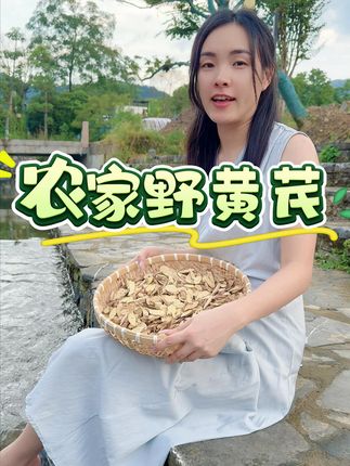 试试我们山里的黄芪 #黄芪 #美食分享 #煲汤食材 #滋补佳品 #山货土特产