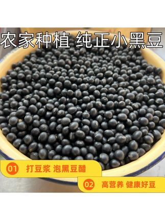 黑豆农家新货小黑豆黄心可生豆芽打豆浆煲汤煮水喝 #黑豆 #煮水喝 #煲汤 #新货 #厨房必备