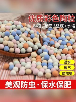 花友们 想在家里干净的养花,可以铺上这个彩色陶粒,即美观又保水保肥,还防尘!#花卉绿植 #养花小知识