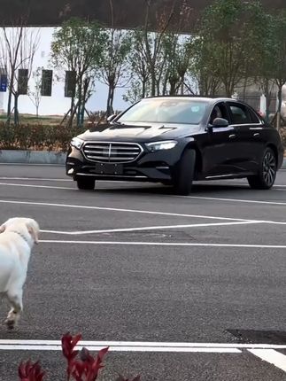 24-25 款 E 级 E300L/E260L 前杠风刀亮条 + 车身防撞饰条,装饰防护一体~#奔驰 #前杠风刀 #防撞饰条 #E300L #外观改装