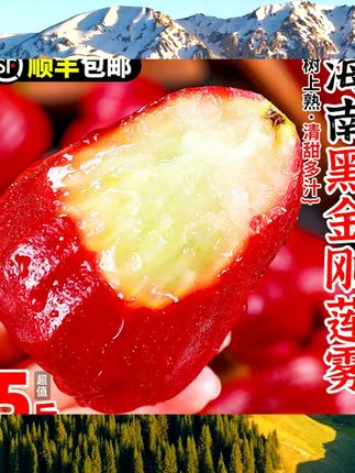 海南莲雾果新鲜水果5斤红宝石当季连雾洋蒲桃黑金刚现摘整箱包邮