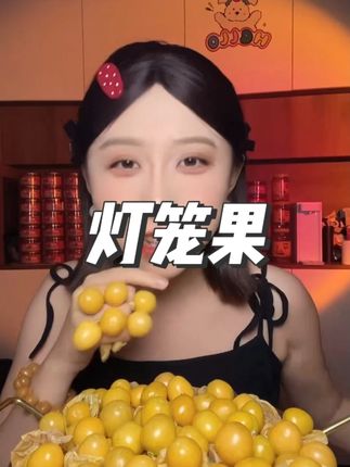 东北姑娘果中大果超甜东北黄姑娘水果菇娘新鲜东北特产灯笼果菇娘 #姑娘果 #黄姑娘 #水果菇娘 #灯笼果