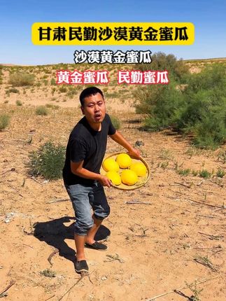 #黄金蜜瓜 、#民勤蜜瓜 、#瓜 #太好吃了 、#沙漠蜜瓜 C