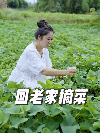 很多朋友担心我们离婚了,感谢朋友们,最近一直在调整状态~#我的乡村生活 #记录真实生活 #农村生活 #我的生活日记 #夫妻相处之道