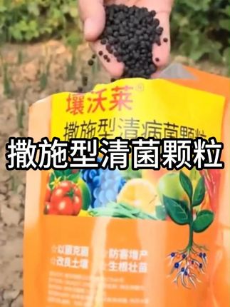 施撒型清病菌清颗粒,防治作物各种病害方式,使用方便,直接施撒就可以了#施撒型清病菌 #清菌颗粒 #病虫害防治 #种植小技巧 #好物推荐🔥