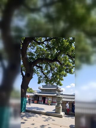 黑鸟智能自行车夜骑前灯快拆防水截止线公路山地车防炫目骑行装备 #夜骑神器 #骑行装备 #防水前灯