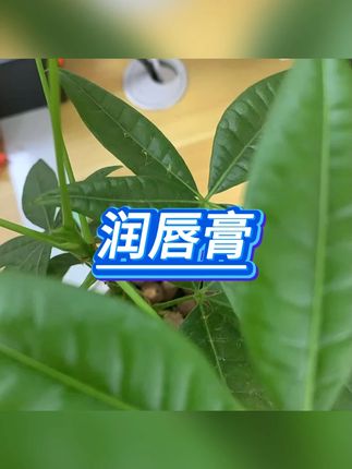 润唇膏 #儿童专用  #滋润保湿  #婴儿护唇  #秋冬护理  #宝宝用品