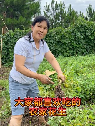 大家都喜欢吃的农家水煮花生 #农村生活 #丰收的季节 #花生 #零食推荐 #好吃到停不下来