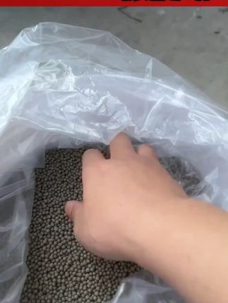 沪邦粪硫菌颗粒改底净水辅助保草去硫化氢颗粒沉底桶装抛洒鱼虾蟹#沪邦粪硫菌 #净水 #水产养殖 #去硫化氢 #鱼虾蟹